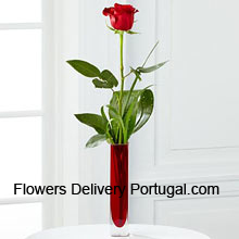 A Single Red Rose In A Red Test Tube Vase Delivered in Portugal