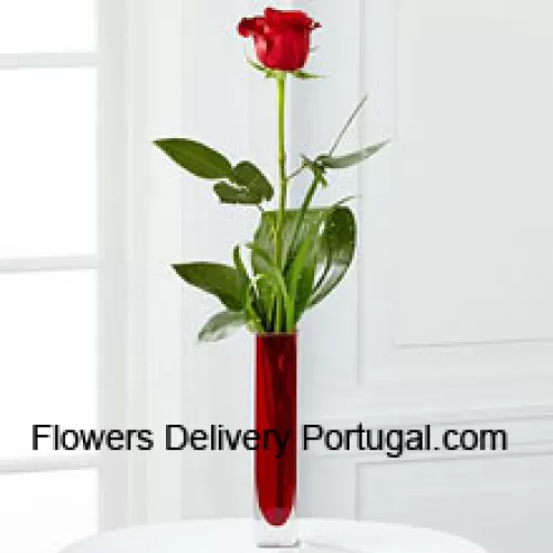 Une seule rose rouge dans un vase tube à essai rouge (Nous nous réservons le droit de substituer le vase en cas de non disponibilité. Stock limité)
